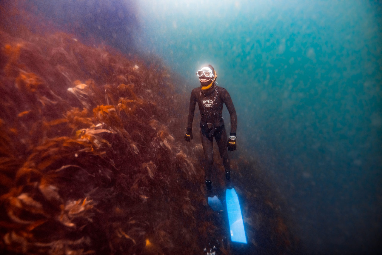 person freediving and training